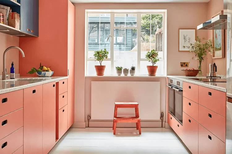 Small Kitchen pink color