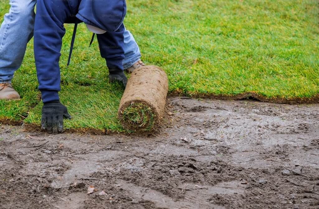 Sod Installation