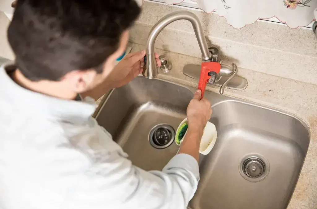 Blocked Drains: A Homeowner’s Guide to Prevention and Repair