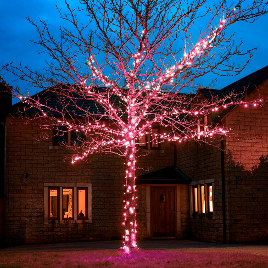 Pink Led Lights Outlining the House or Trees