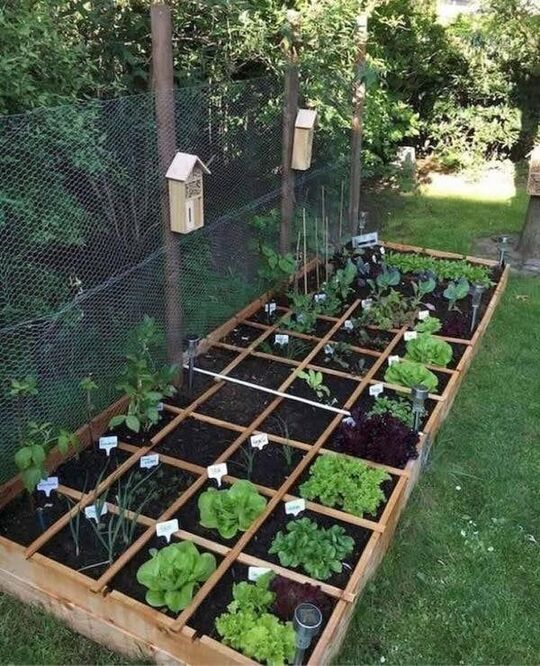 Square foot Grid Garden Raised Bed