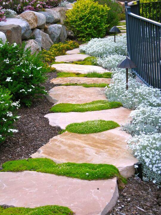 Stone Walkways