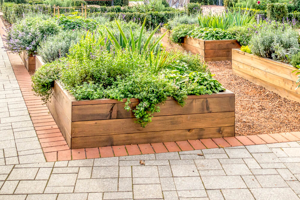 Garden Beds with Concrete sleepers