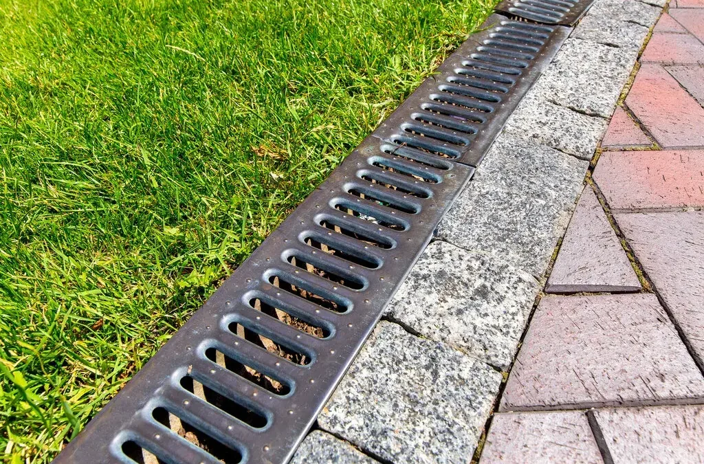 The Importance of Proper Drainage in Landscape Maintenance
