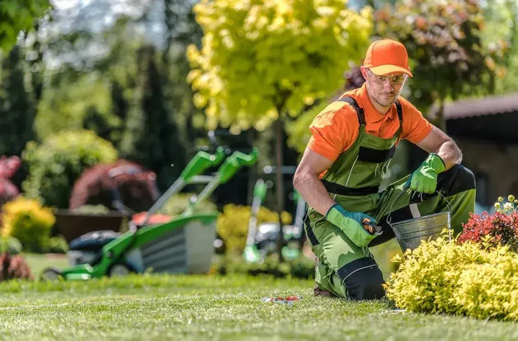 Essential Lawn Care Tips: A Seasonal Guide to a Healthy Yard