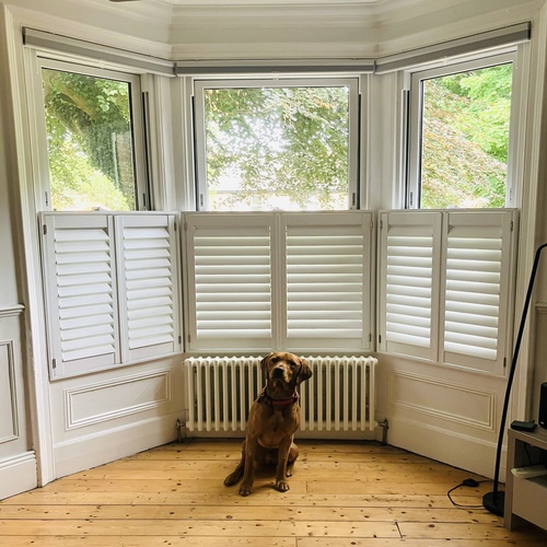 Shutters for bay window