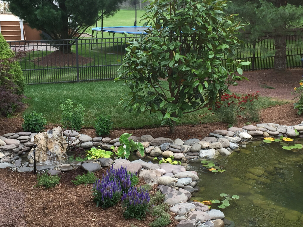 Bubble rocks in outdoor