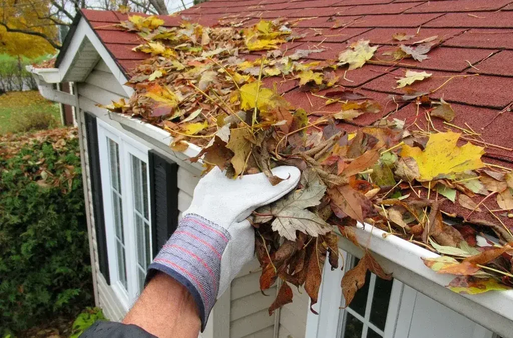 Essential Gutter Maintenance Tips for Preventing Expensive Repairs