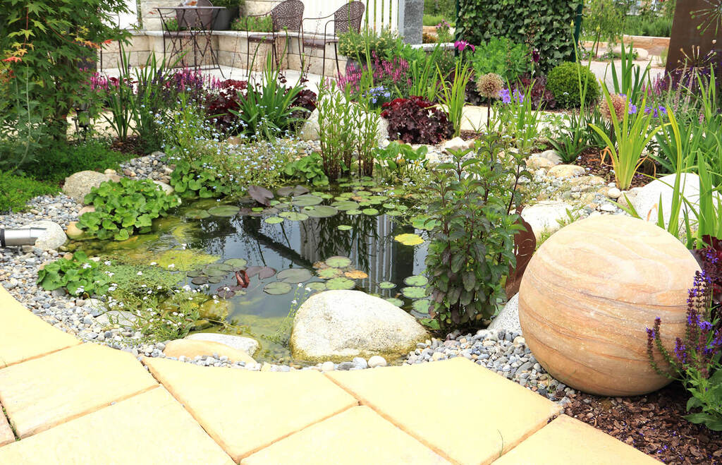 Water Garden in outdoors