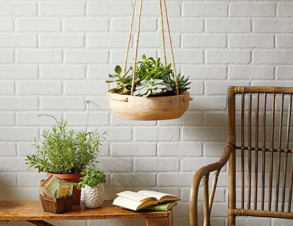 Hanging plants