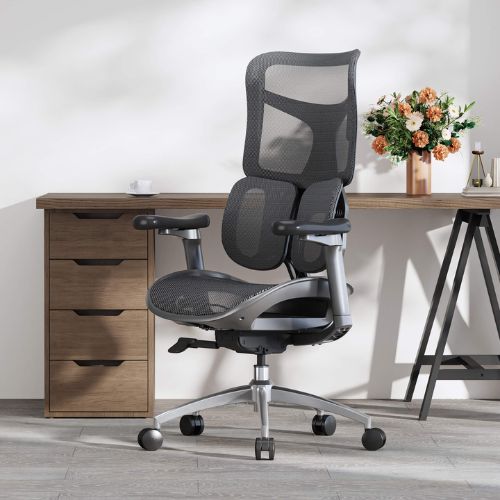 Ergonomic Chair